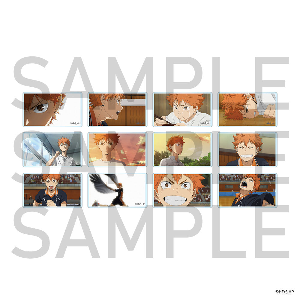 ハイキュー!! ランダムカスタマイズマグネットパーツ 日向翔陽(全12種)BOX