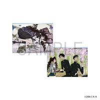 xxxHOLiC　ランダムカスタマイズパネル 2枚セット（全8種）BOX