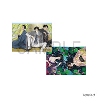 xxxHOLiC　ランダムカスタマイズパネル 2枚セット（全8種）BOX