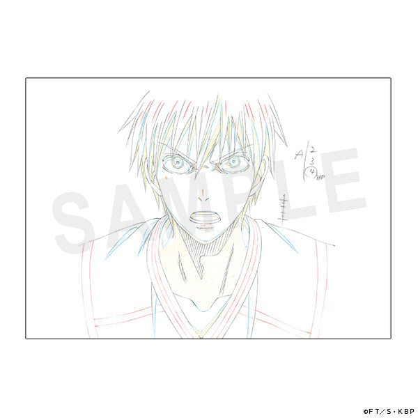 黒子のバスケ　原画クリアファイル　復刻版　黒子D