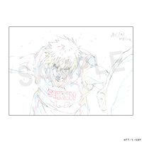 黒子のバスケ　原画クリアファイル　復刻版　火神A