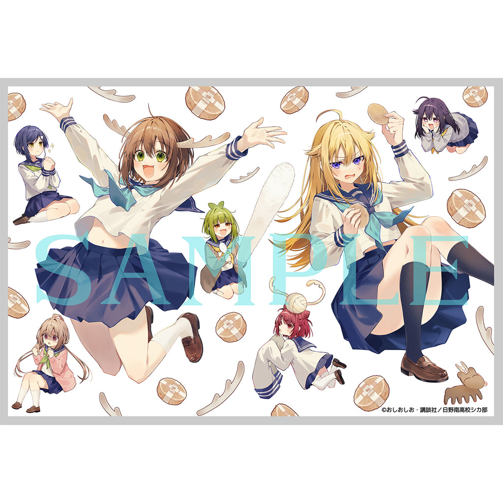 しかのこのこのここしたんたん」Blu-ray BOX – IG Port ONLINE STORE