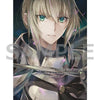 劇場版 Fate/Grand Order -神聖円卓領域キャメロット- 前編 Wandering; Agateram DVD【完全生産限定版】