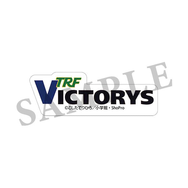 TOMY 爆走兄弟レッツ&ゴー！！　爆走レーシング ビクトリーグランプリセット 71eW6rIqYvL._UF350,350_QL80_.jpg